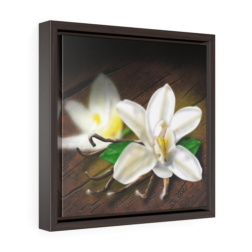 Plain Vanilla Square Framed Premium Gallery Wrap Canvas