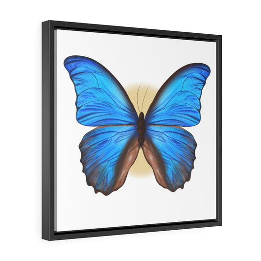 Blue Butterfly Gallery Canvas Wraps, Square Frame