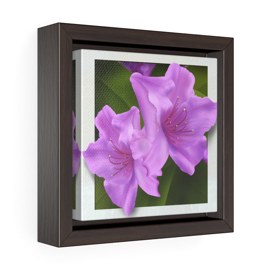 Rhododendron Square Framed Premium Gallery Wrap Canvas