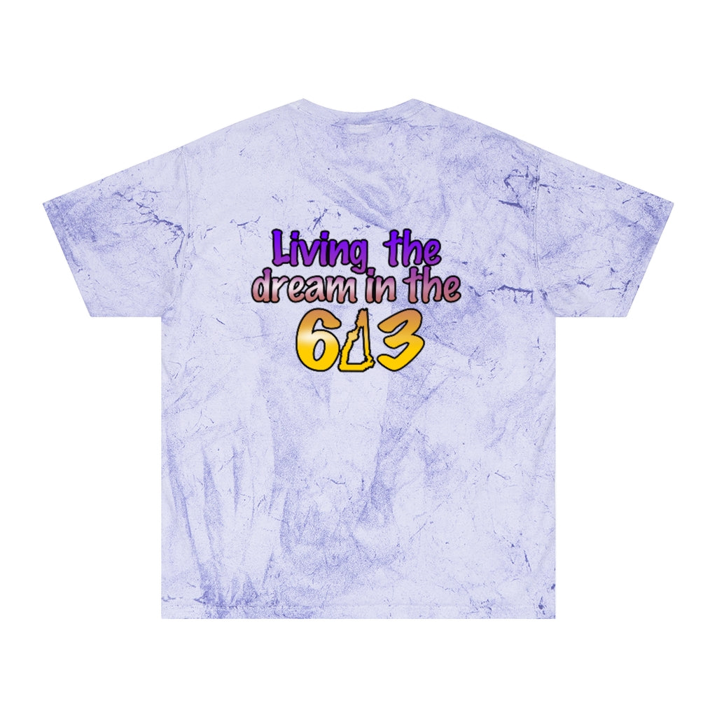 Living the Dream in the 603 Unisex Color Blast T-Shirt