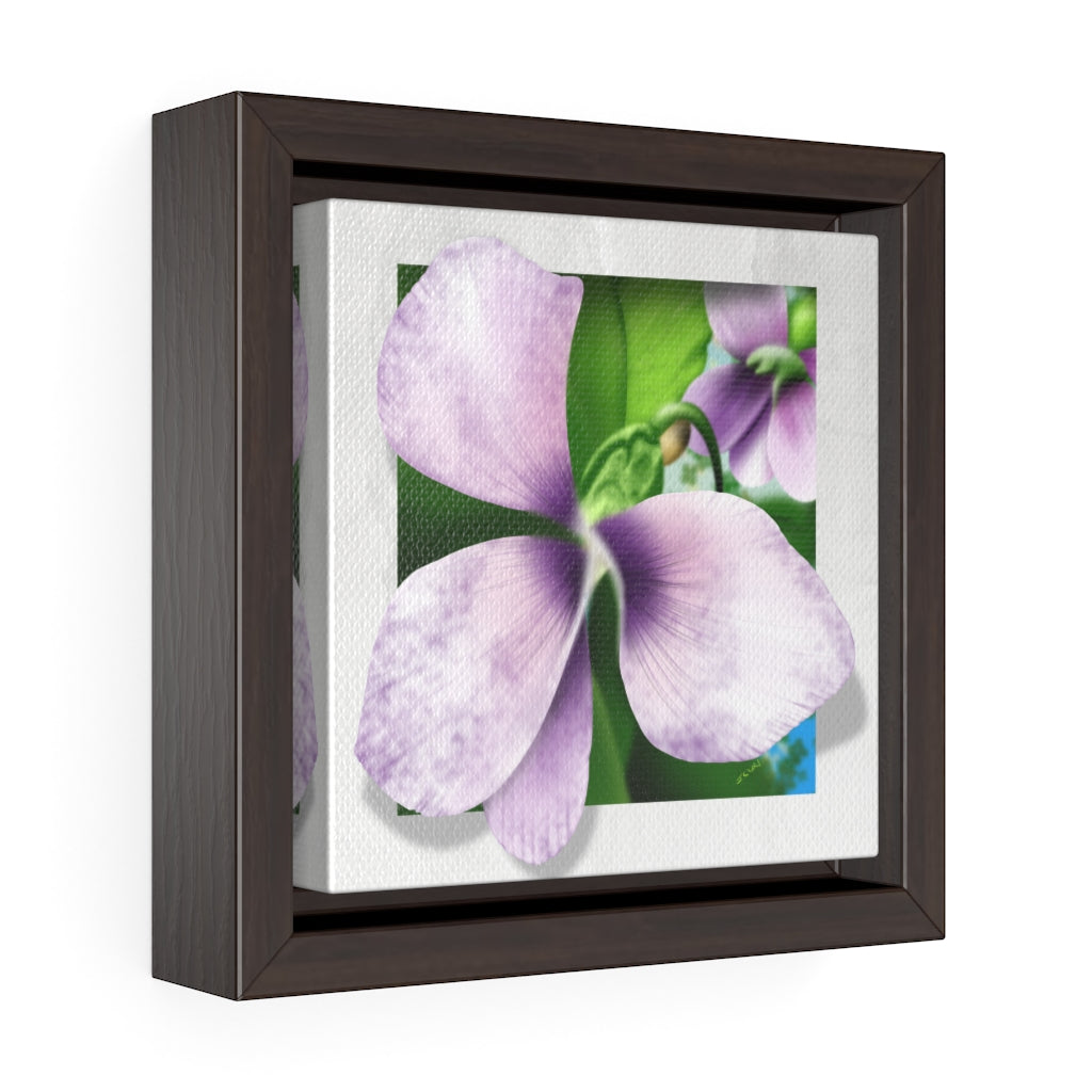 A common blue violet Square Framed Premium Gallery Wrap Canvas