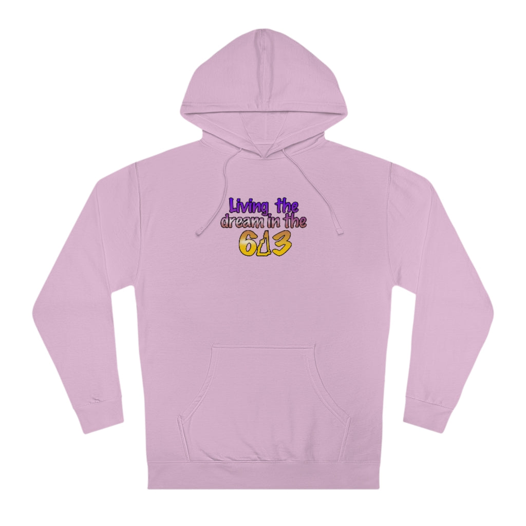 Living the Dream in the 603 Unisex Hooded Sweatshirt