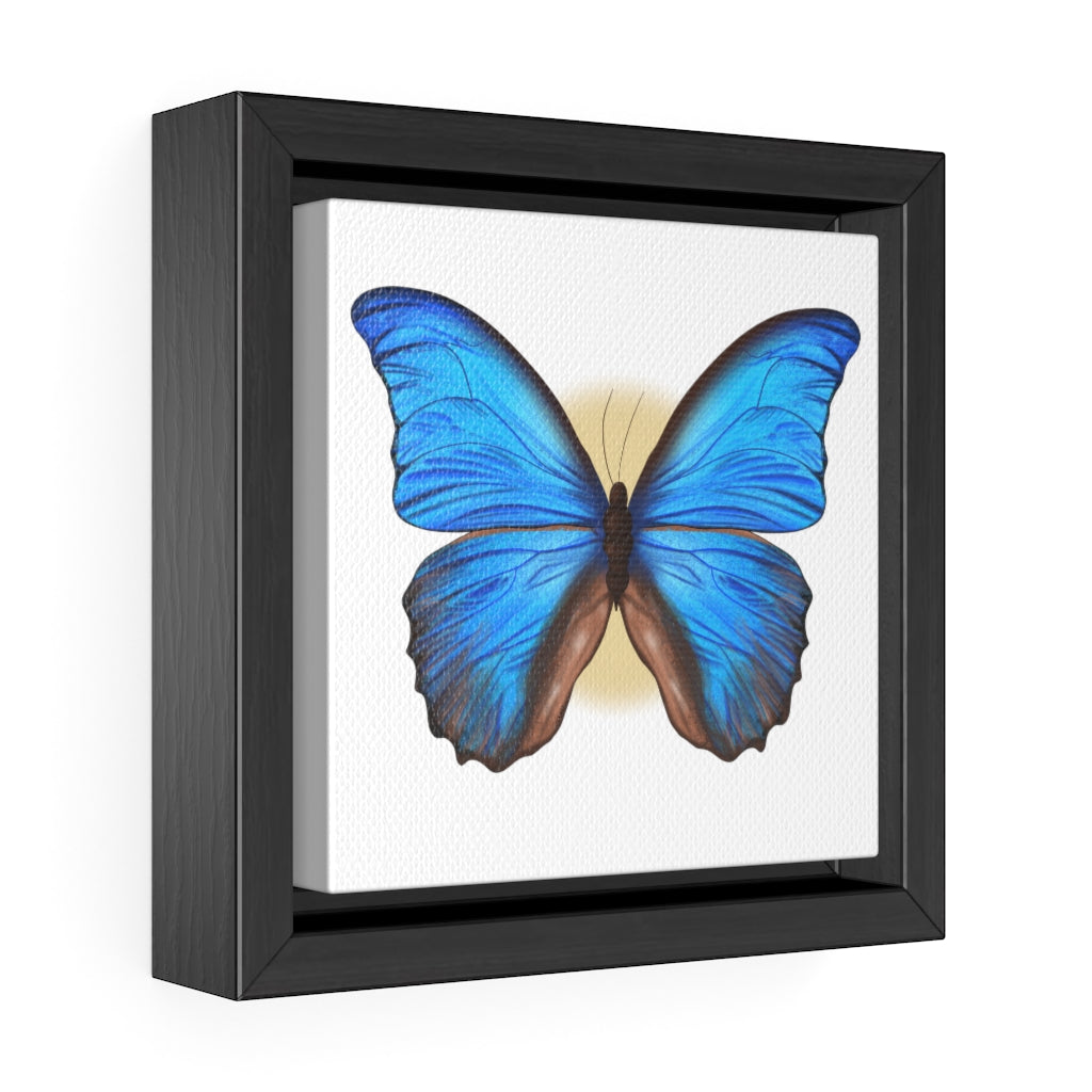 Blue Butterfly Gallery Canvas Wraps, Square Frame