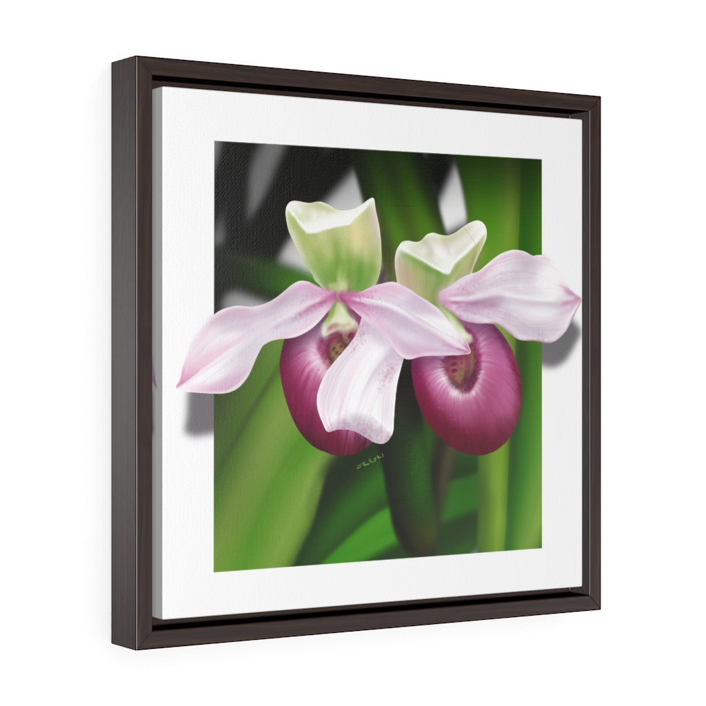 Pink Lady's Slippers Square Framed Premium Gallery Wrap Canvas