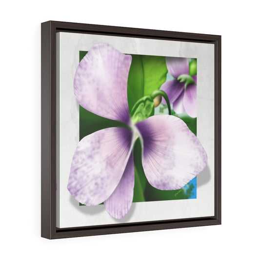 A common blue violet Square Framed Premium Gallery Wrap Canvas
