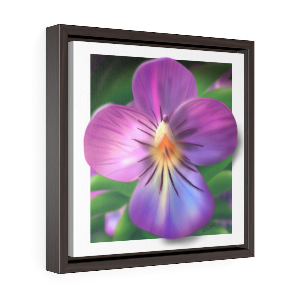 Common Blue Violet - Square Framed Premium Gallery Wrap Canvas