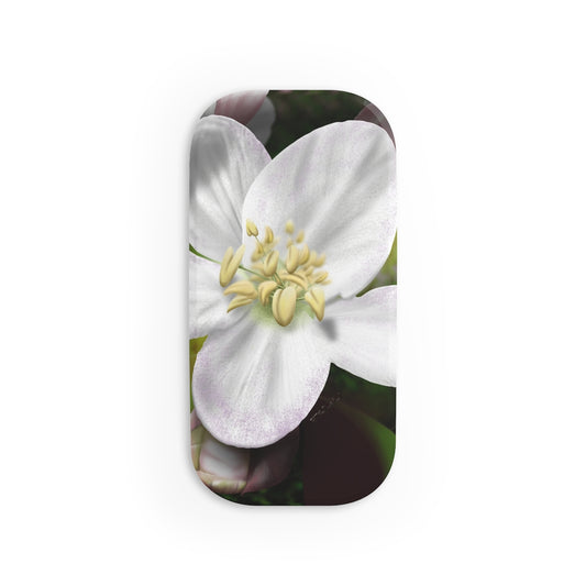 Apple Blossom Phone Click-On Grip