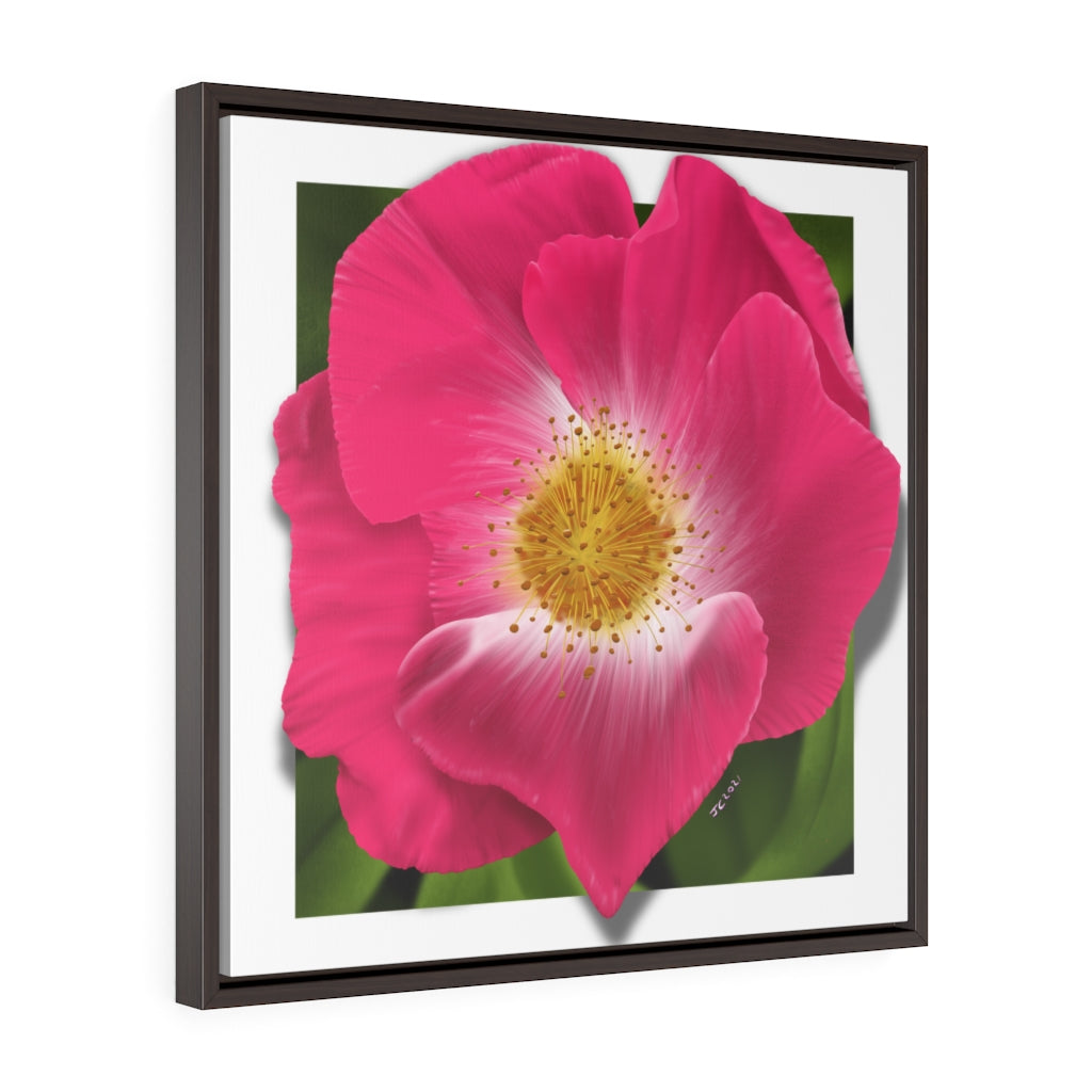 WIld Rose Square Framed Premium Gallery Wrap Canvas