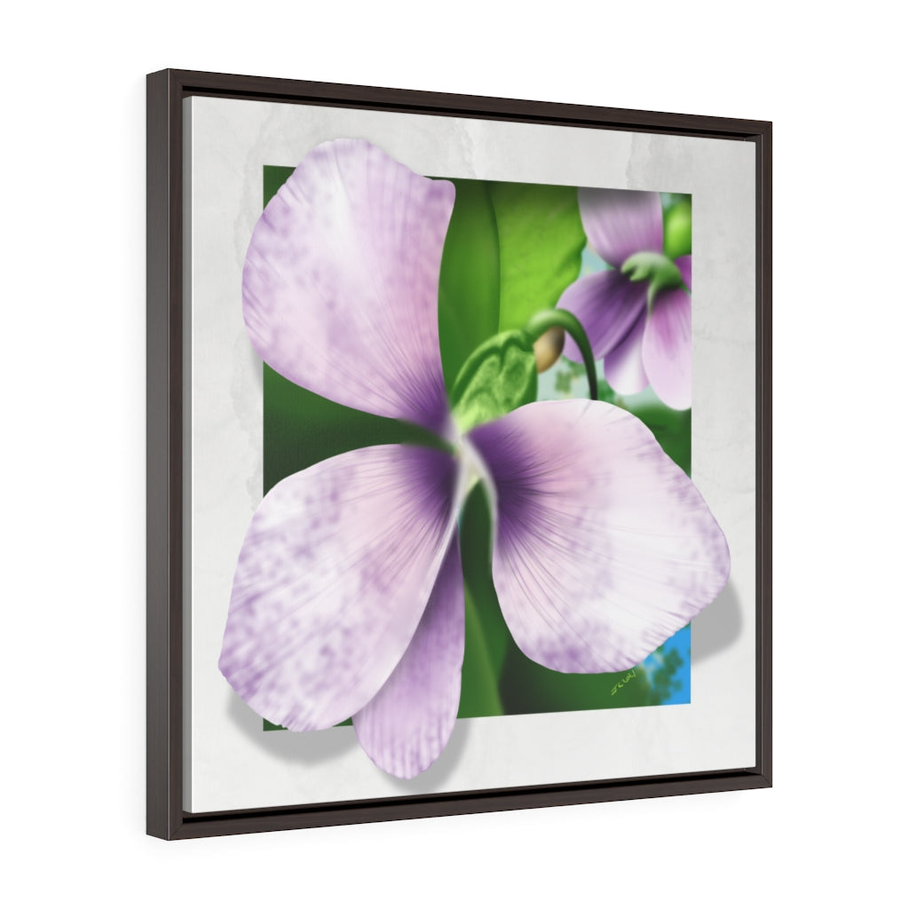 A common blue violet Square Framed Premium Gallery Wrap Canvas