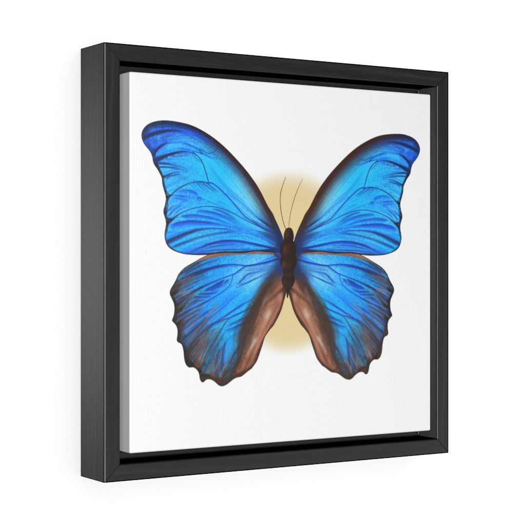 Blue Butterfly Gallery Canvas Wraps, Square Frame