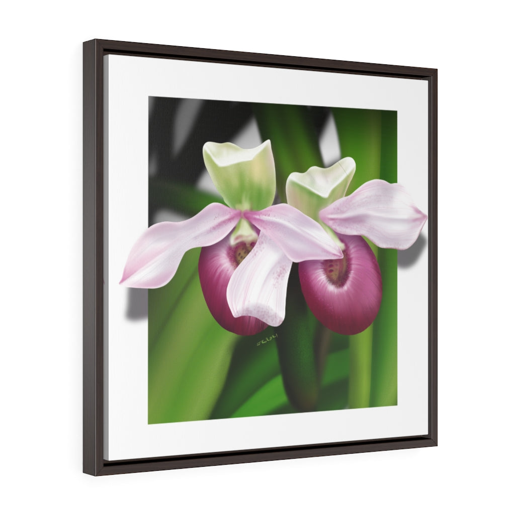 Pink Lady's Slippers Square Framed Premium Gallery Wrap Canvas