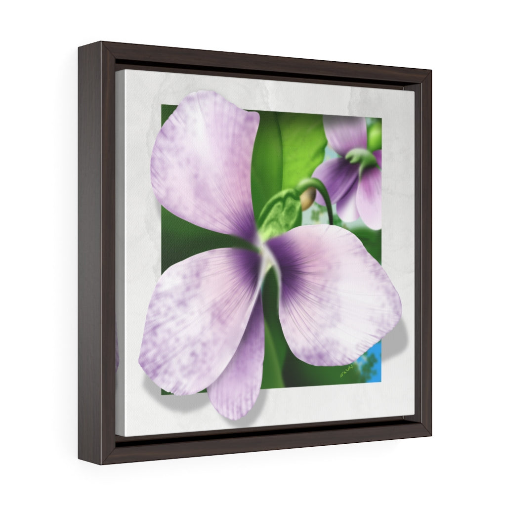 A common blue violet Square Framed Premium Gallery Wrap Canvas