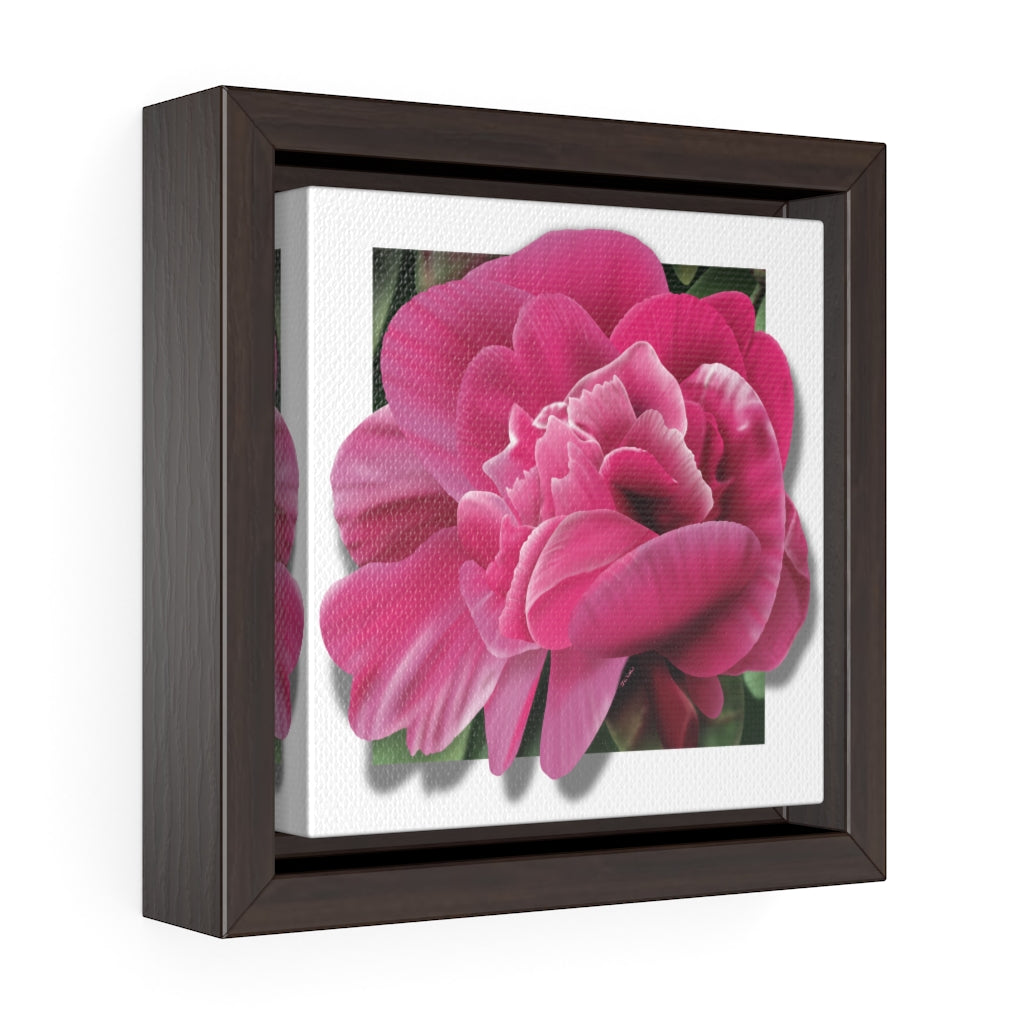 Pink Peony Square Framed Premium Gallery Wrap Canvas