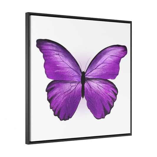 Purple Butterfly Gallery Canvas Wraps, Square Frame