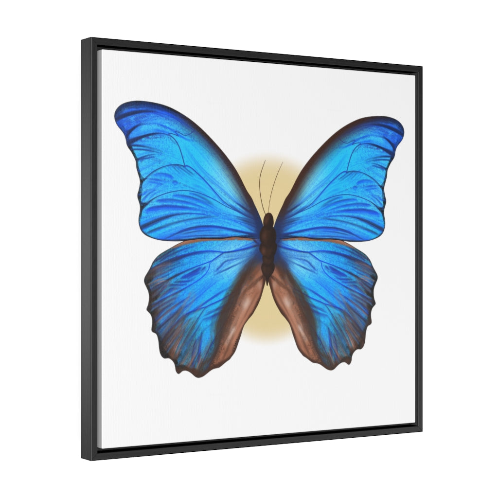 Blue Butterfly Gallery Canvas Wraps, Square Frame