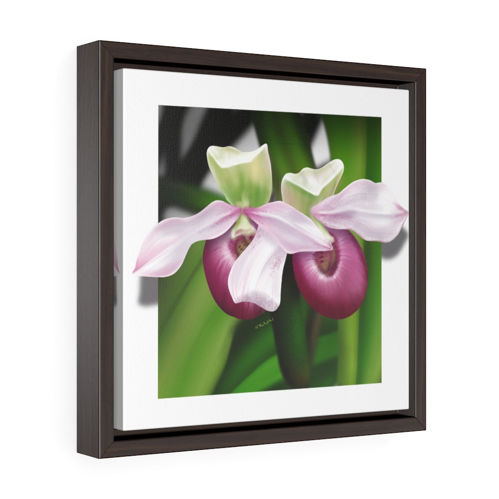 Pink Lady's Slippers Square Framed Premium Gallery Wrap Canvas