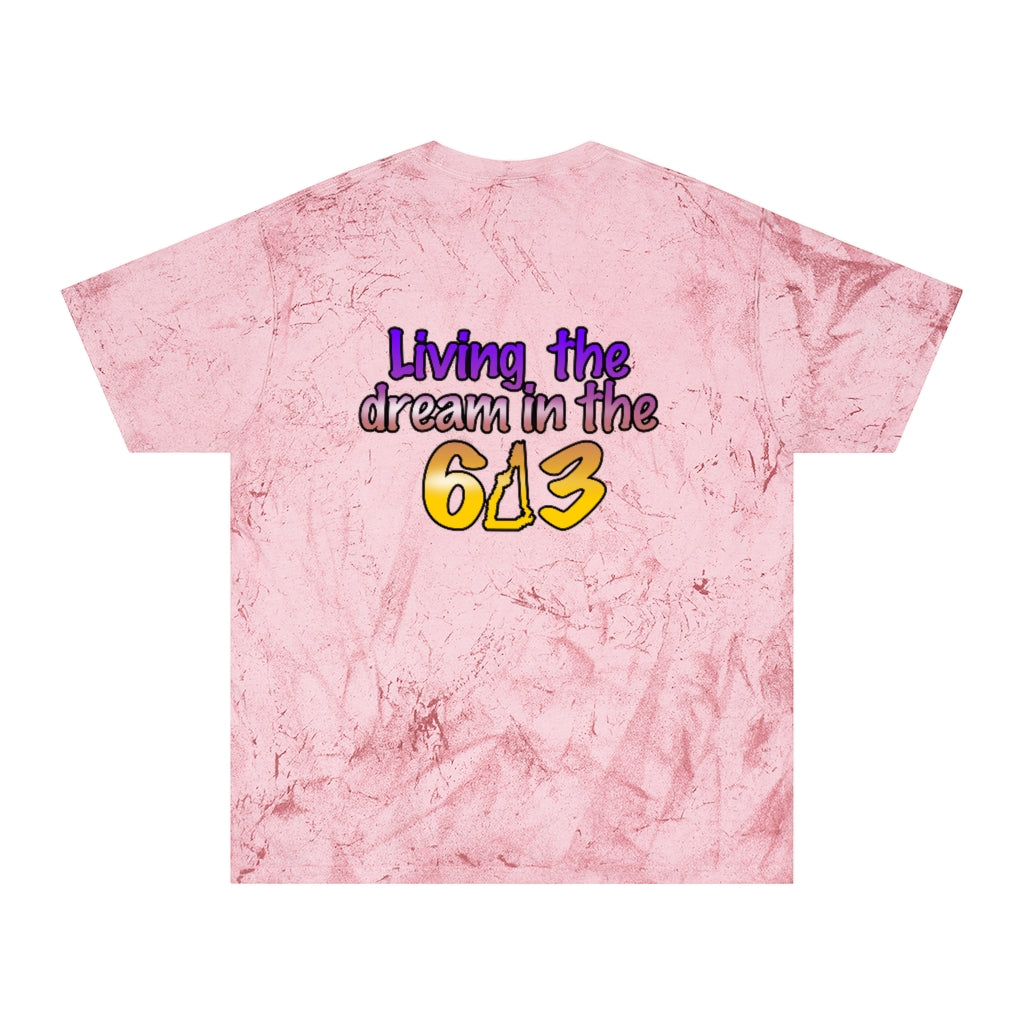 Living the Dream in the 603 Unisex Color Blast T-Shirt