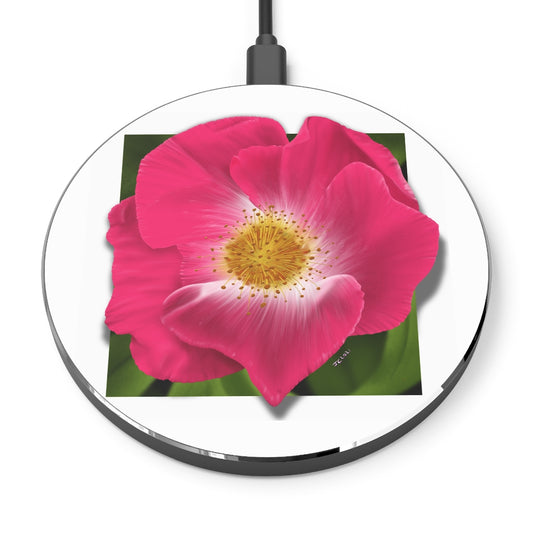 Wild Rose Qi Wireless Charger